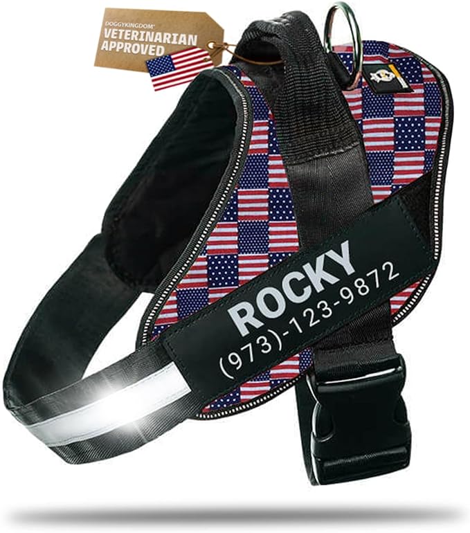 Personalized Dog Harness with Custom Name Patches, Adjustable Reflective No Choke Dog Vest with Handle for Medium Sized Dog, US Flag, M