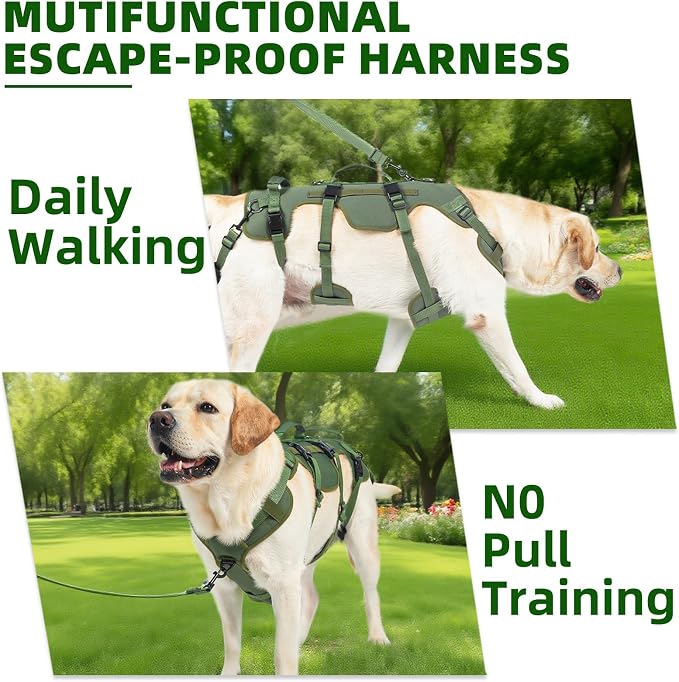 PUPTECK Dog Lift Harness for Medium Large Sized Dog, Rehabilitation Sling for Hind Leg Support, Multifunctional Mobility Assistance Harness for Old, Disabled, Joint Injuries, Paralysis Dogs, Green M