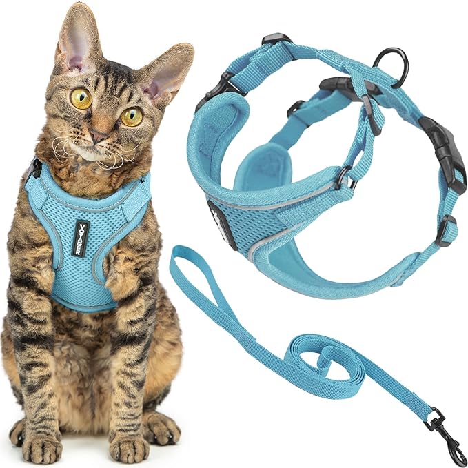 Voyager Escape Proof Cat Harness and Leash Set with Reflective Stitching, Neoprene Handle 5ft - Supports Small, Medium and Large Cats, Kittens for Walking by Best Pet Supplies - Baby Blue, S