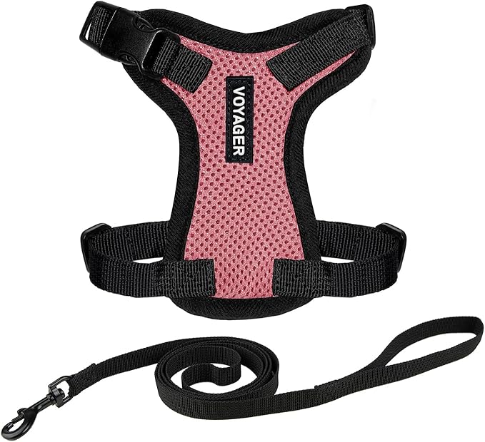 Voyager Step-in Lock Adjustable Cat Harness w. Cat Leash Combo Set with Neoprene Handle 5ft - Supports Small, Medium and Large Breed Cats by Best Pet Supplies - Pink/Black Trim, XS