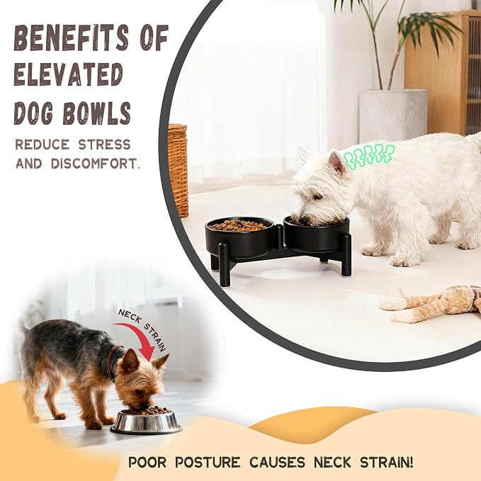 Raised Ceramic Dog Bowl Set with Stand, 1.6 Cups Elevated Dog Food Stand | 5.1'' Double Dog Food and Water Bowl Set, Non-Slip Dog Feeding Dishes for Small Breeds and Cats, 10.8 OZ, Green