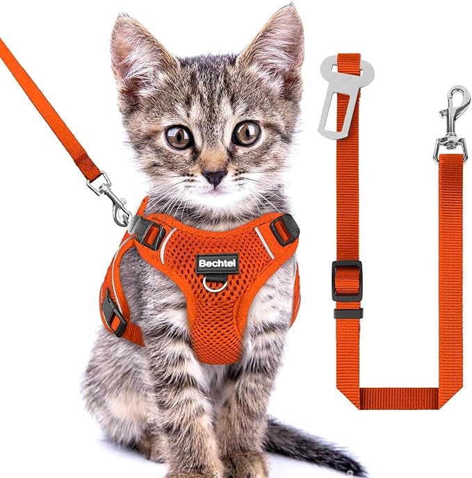 Kitten Harness and Leash Seat, 3 in 1 Adjustable Breathable Soft, Easy to Control Reflective Cat Harness Escape Proof, Cat Products, Orange, XXS