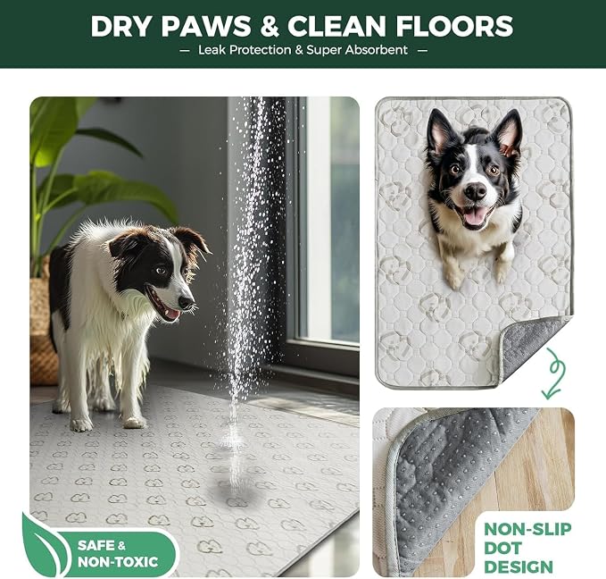 FXW Washable Pee Pads for Dogs, Super Absorbent, 43" x 71", 1 Pack | Machine washable, Non-slip backing, Fits 32"/40"/45"H 6-Panel FXW Rollick/Homeplus Playpens