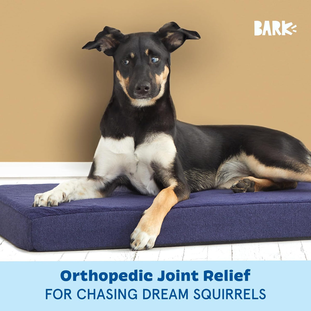 Barkbox Orthopedic Dog Bed with Memory Foam, Premium Comfort for Dogs and Puppies, Dog Bed for Joint Relief and Restful Sleep, Durable and Easy to Clean - Navy, Medium