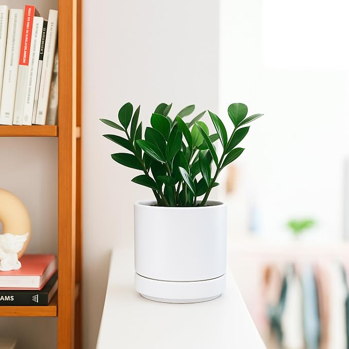 D'vine Dev Set of 2 Plants Pot, 4.7 Inch Ceramic Planter Pot for Plants with Drainage Hole and Saucer, White, 94-V-B-1