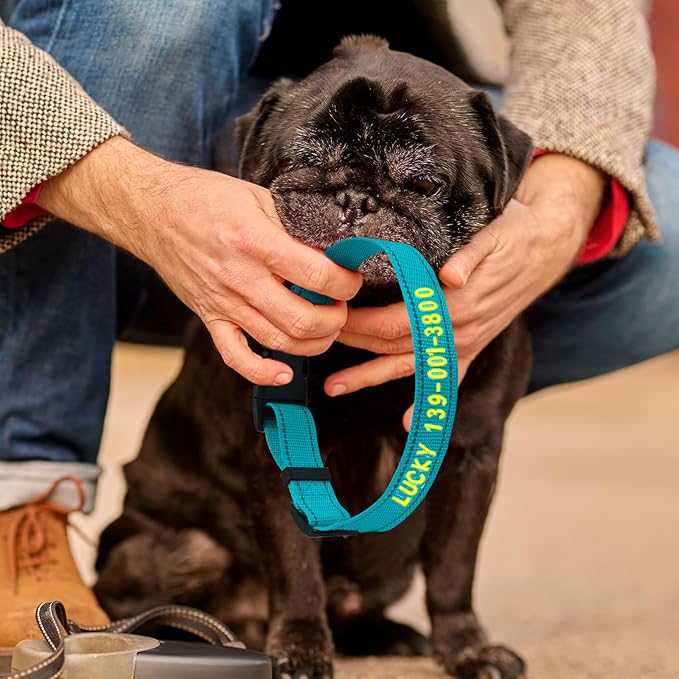 Personalized Embroidered Dog Collar - Custom Hand-Stitched Name & Number, Reflective Adjustable Pet Collar for Small/Medium/Large Dogs & Cats, Durable Nylon with Steel D-Ring (Teal, Large)