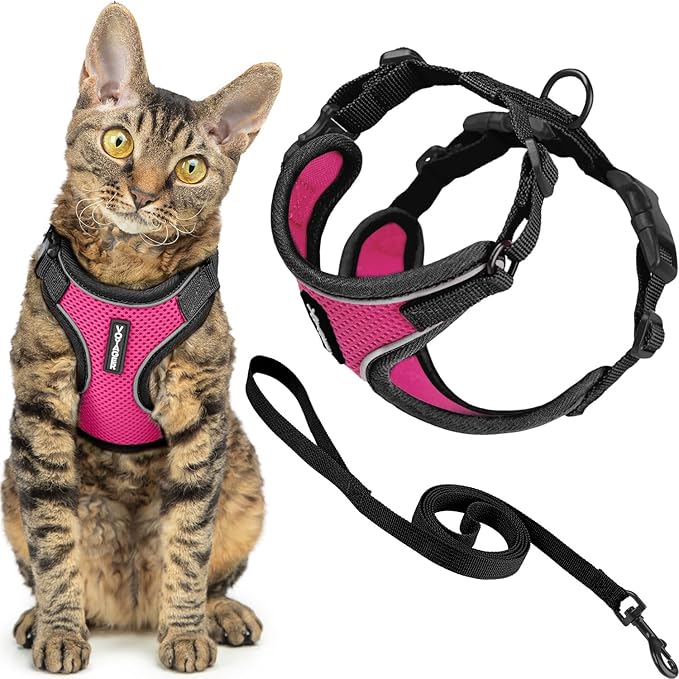 Voyager Escape Proof Cat Harness and Leash Set with Reflective Stitching, Neoprene Handle 5ft - Supports Small, Medium and Large Cats, Kittens for Walking by Best Pet Supplies - BT-Fuchsia, XXS
