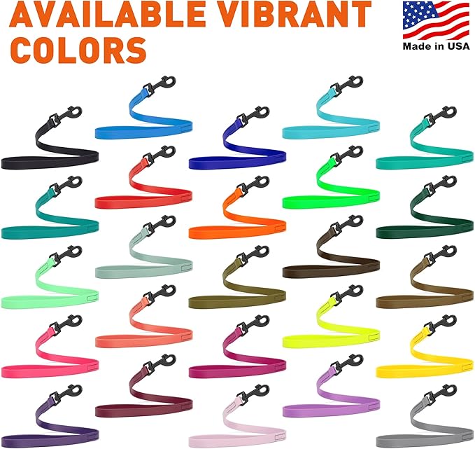 Dogline Biothane Waterproof Dog Leash Strong Coated Nylon Webbing with Black Hardware Odor-Proof Easy to Clean High Performance for Small or Large Dogs Made in USA 2 ft Lead, Blueberry Royal