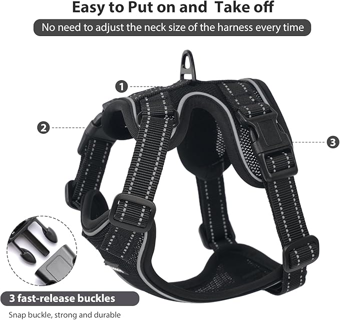 Rttochfy Cat Harness and Leash Set, Adjustable and Reflective Cat Vest, Escape Proof Kitten Harness, Easy to Put on with 3 Buckles for Cats Walking and Traveling (Black, L)