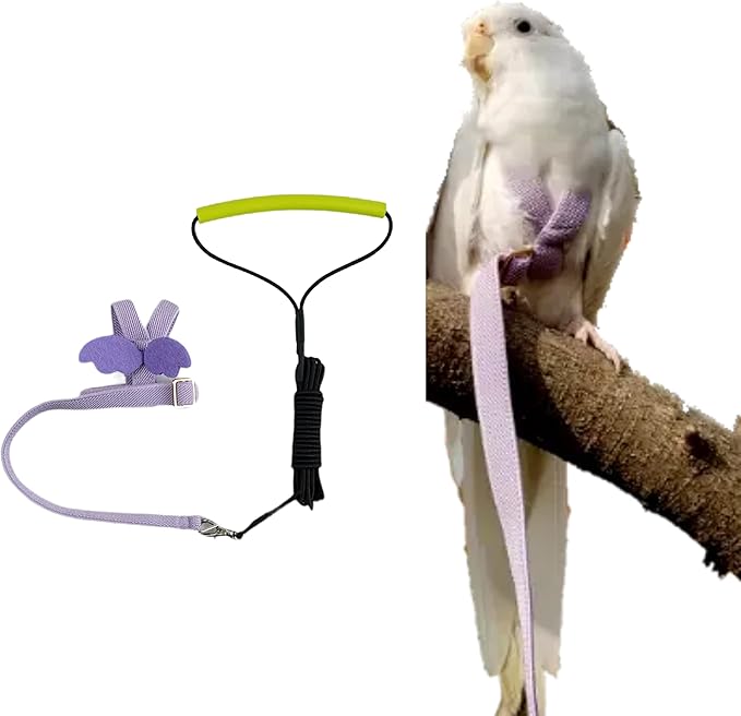 Pet Parrot Bird Harness Leash Adjustable Bird Flying Harness Traction Rope with Cute Wing for Parrots Pigeons Budgerigar Lovebird Cockatiel Mynah Outdoor Training Toy (XL, Purple)
