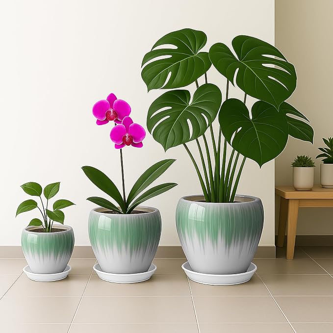 Deep Dream 10 Inch Plant Pot- Ceramic Planter Pot Round Plant Pots for Indoor Plants Outdoor Large Flower Pot with Drainage Holes & Trays, White&Green