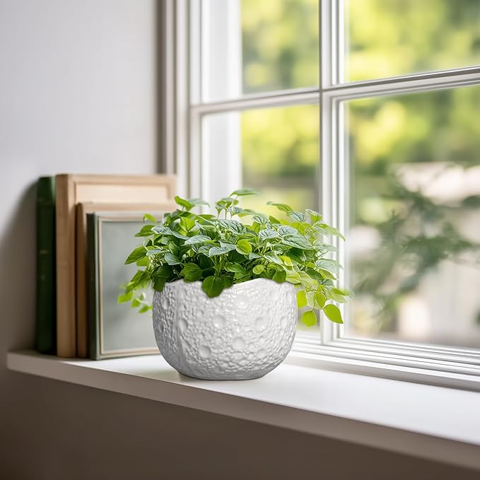Ceramic Pots for Plants - 6 Inch Plant Pot for Indoor Outdoor, Decorative Orchid Pots with Drainage Hole, Unique Round Modern Planters, Home Decor, Gifts for Plant Lovers, White