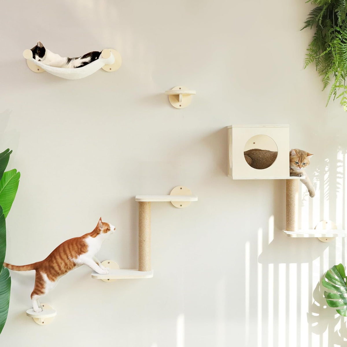 FUKUMARU Cat Wall Shelves, 5-Piece Stable Wooden Wall-Mounted Furniture Set, Kitty Climber with Hammock, House, Steps, Scratching Post (Beige)