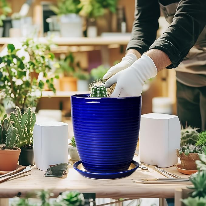 Round Ceramic Planter - Modern 8 Inch Plant Pot with Drainage Hole and Tray for Flower Indoor Outdoor Garden Decor Blue