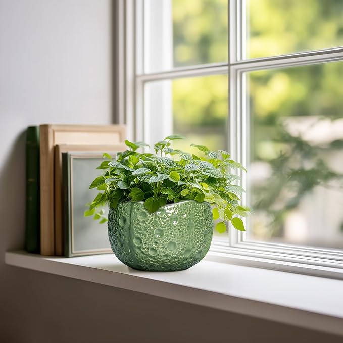 6 Inch Plant Pot - Orchid Pot with Drainage Hole, Ceramic Planter for Indoor Outdoor, Decorative Plant Pots, Modern Round Unique Flower Pots, Living Room Decor, Gifts for Women Men, Green