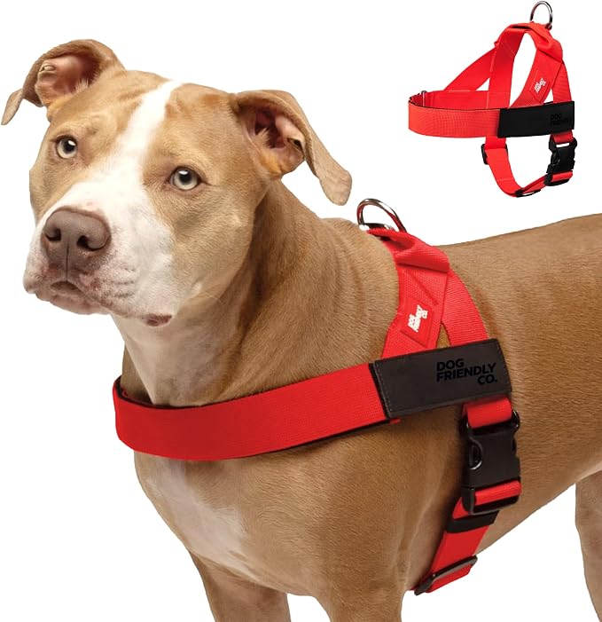 Dog Friendly Co. Dog Harness for Large Dogs, Adjustable (Red, Large) | One Click Buckle, Chafe Resistant Webbing, Adjustable Neck & Chest, and Heavy Duty D-Ring, Sturdy Comfortable and Easy to Use