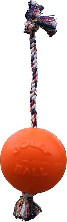 Jolly Pets Romp-n-Roll Rope and Ball Dog Toy, 8 Inches/Large, Orange