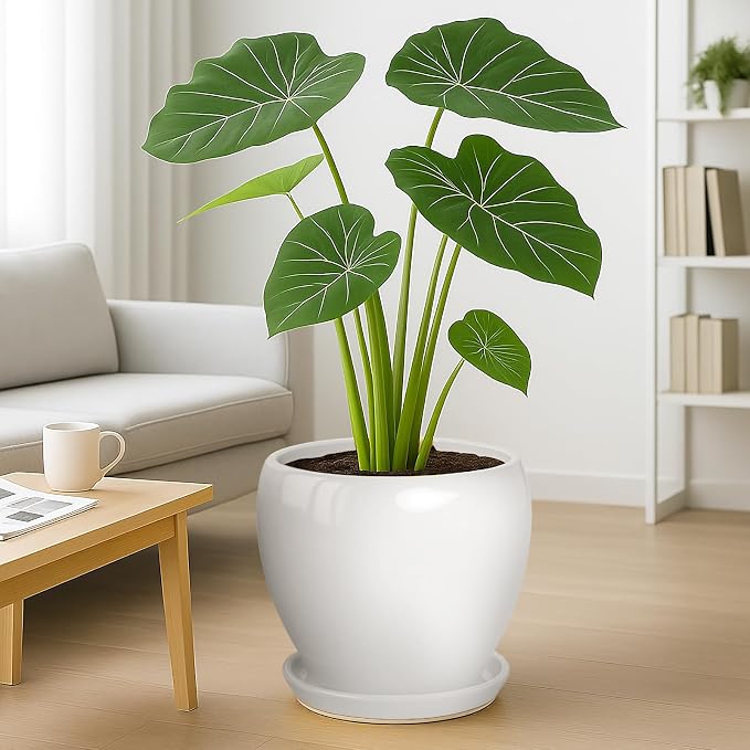 Deep Dream 10 Inch Plant Pot- Ceramic Planter Pot Round Plant Pots for Indoor Plants Outdoor Large Flower Pot with Drainage Holes & Trays, White