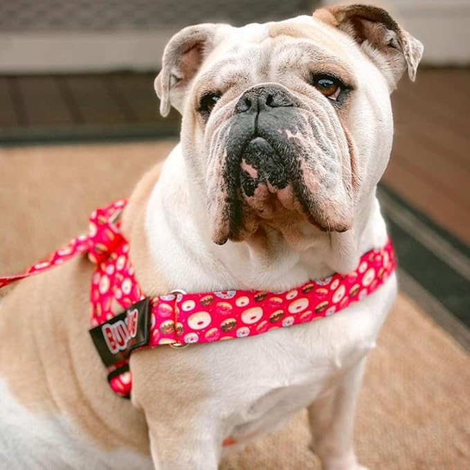 Adjustable Dog Harness– No Pull, No Choke – for English Bulldogs, French Bulldogs, Pugs & Broad-Chested Breeds – Easy, Safe Walks (Skull, Medium)
