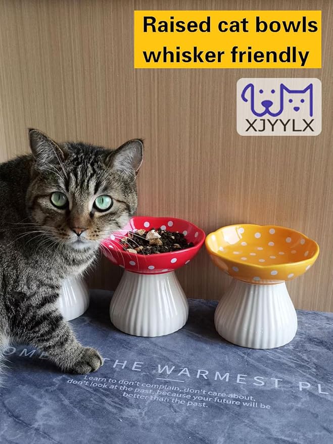 Mushroom Elevated Cat Bowls Ceramic, Cute Cat Bowls Whisker Fatigue | Raised Cat Bowl for Indoor Cats, Raised Dog Bowls Stand for Food and Water, Red 6" Wide for Adult Cats