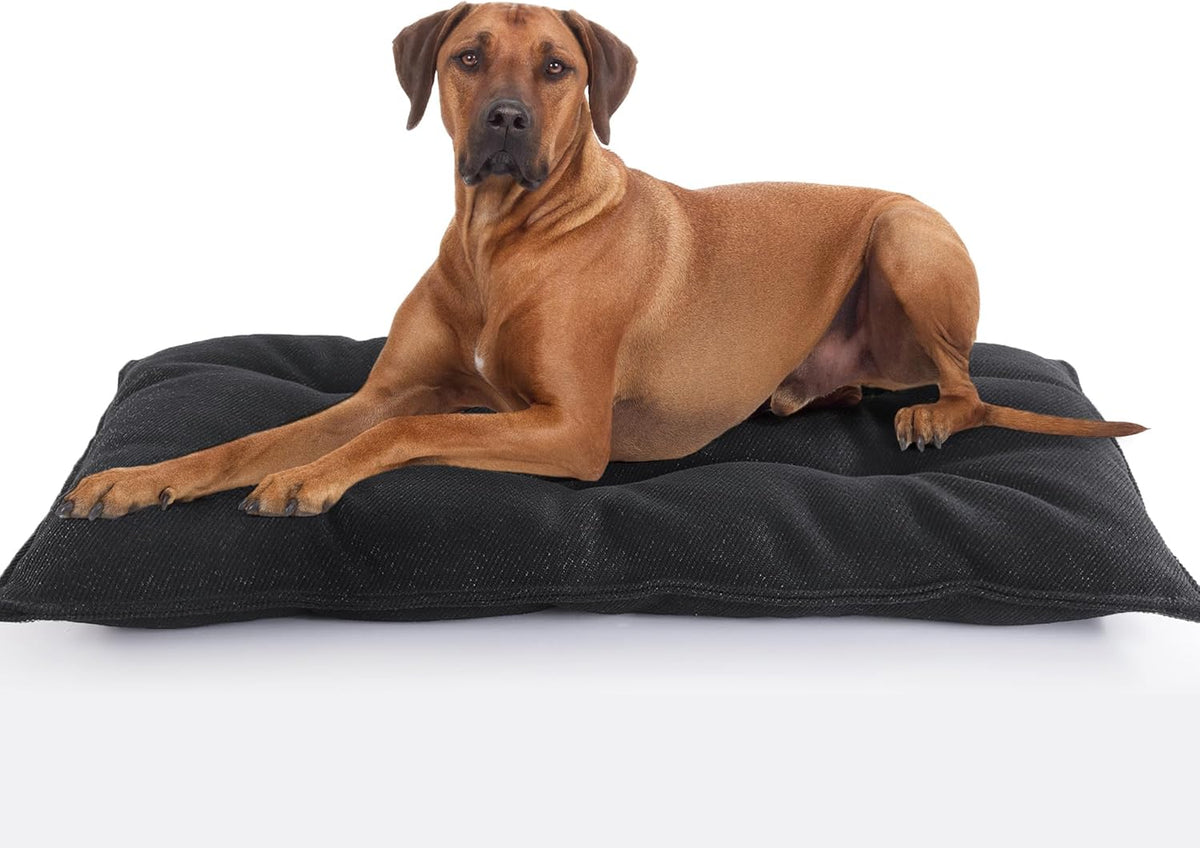 MABOZOO Dog Bed, Indestructible Chew Proof Pet Bed Mat, Durable Polyester, Large 35x22 inches, Black, for Aggressive Chewers, Crate Pad, Machine Washable