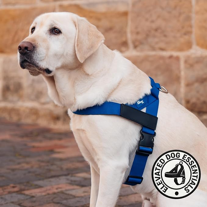 Dog Friendly Co. Dog Harness for Large Breeds (Classic Blue, Extra Large) | One Click Buckle, Chafe Resistant Webbing, Adjustable Neck & Chest, and Heavy Duty D-Ring, Sturdy Comfortable and Easy to Use