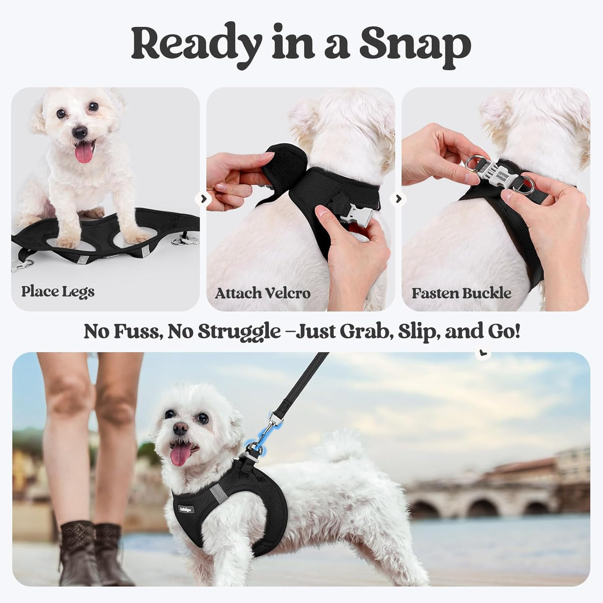 rabbitgoo Dog Harness Small Sized and Leash Set, Step in Soft Light Puppy Vest, Breathable Mesh Pet Harness, Reflective for Safe Easy Walking, Black S