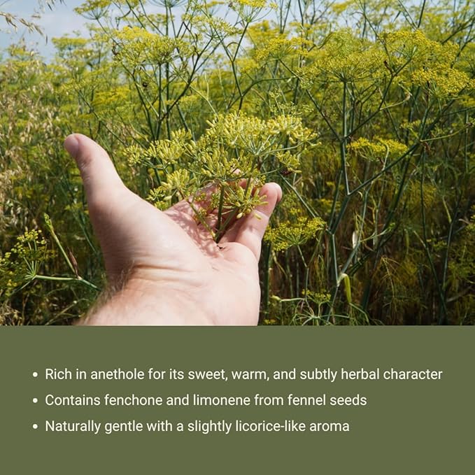 Fennel Essential Oil