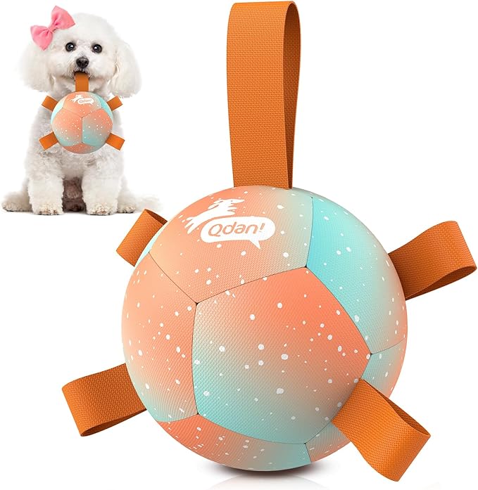 QDAN Small Dog Balls: Dog Soccer Ball with Straps- Premium Dog Toys Balls- Puppy Outdoor Dog Toys Pet Training Ball Birthday Gifts for Small Dogs- Rainbow Orange (5 Inch)