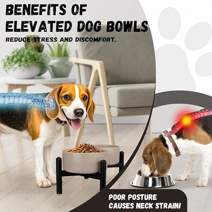 Raised Ceramic Dog Bowl Set with Stand, 3.5 Cups Elevated Dog Food Stand | 6.1'' Double Dog Food and Water Bowl Set, Non-Slip Dog Feeding Dishes for Small to Medium Breeds, 29.57 OZ, Black
