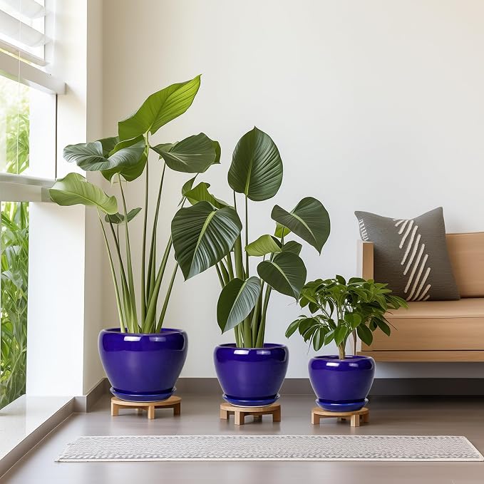 Flower Pots for Indoor Plants- Ceramic Pots for Plants 10 Inch 8 Inch 6 Inch Plant Pots with Drainage Holes and Saucers Decorative Large Planters for Outdoor Plants Set of 3 Blue