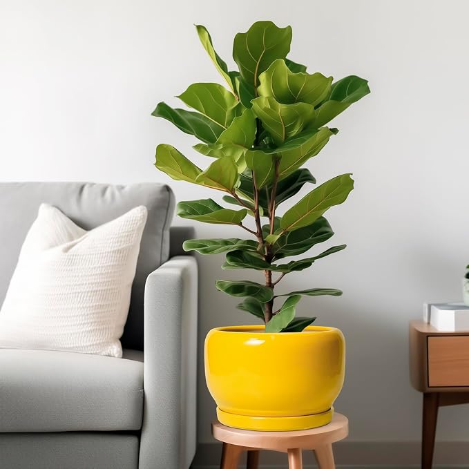 SQOWL 10 Inch Plant Pot - Ceramic Planter with Drainage Hole and Saucer, Modern Large Flower Pot for Indoor Outdoor Plants, Decorative Round Planter, Home Decor, Gifts for Gardeners Woman, Yellow