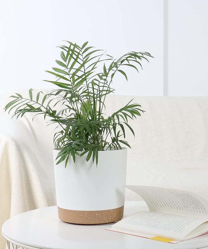 kubvici Indoor Plant Pots Planters 8 inch Plastic Planter with Hole & Saucer Flower Pots Modern Decorative for Outdoor Garden Home (White x 3 Pack)