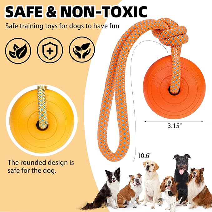 PUPTECK Dog Pool Floating Toys - 2 Pack Fetch Balls on a Rope Toys for Medium Large Dogs, EVA Durable Rubber Water Pet Interactive Toys, for Summer Beach Outdoor Throw Training Retrieving Play