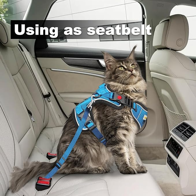 Cat Harness and Leash for Walking, Retractable Cat Harnesses and Leash Set Escape Proof, Breathable Soft Kitten Small Large Harness for Travel Training and Walking, Blue, XS