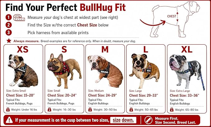 Adjustable Dog Harness– No Pull, No Choke – for English Bulldogs, French Bulldogs, Pugs & Broad-Chested Breeds – Easy, Safe Walks (Violet, Small)