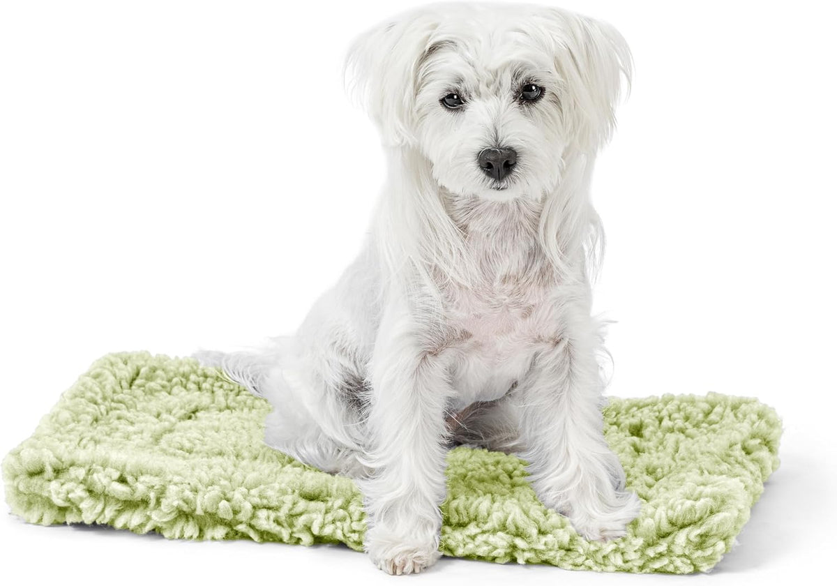 Stoutwool Indestructible Dog Bed - Fluffy Chew Proof Dog Crate Pad - Tough Kennel Pad for Aggressive Chewers - Ideal for Extra Small Breeds & Fits 22-Inch Crate - 21"x12", Gleam