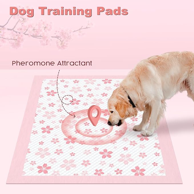 MIZOK Pink Puppy Pads with Adhesive Tabs Disposable Pee Pads 28x34in 100Ct | Heavy Duty Floor Protection Super Absorbent Large Pet Training Pads Use Sticky Bottom Strips to Keep Indoor Areas Mess Free