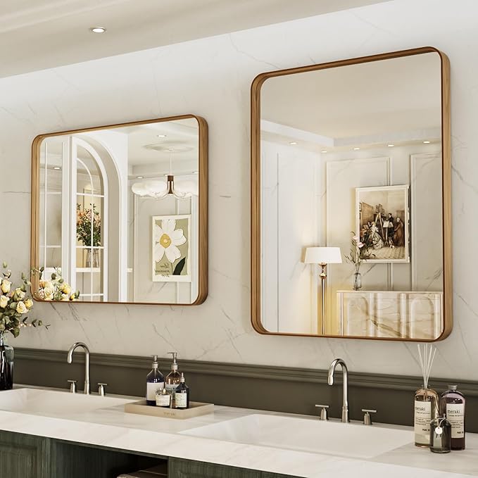 LOAAO 20X30 Inch Bathroom Mirror