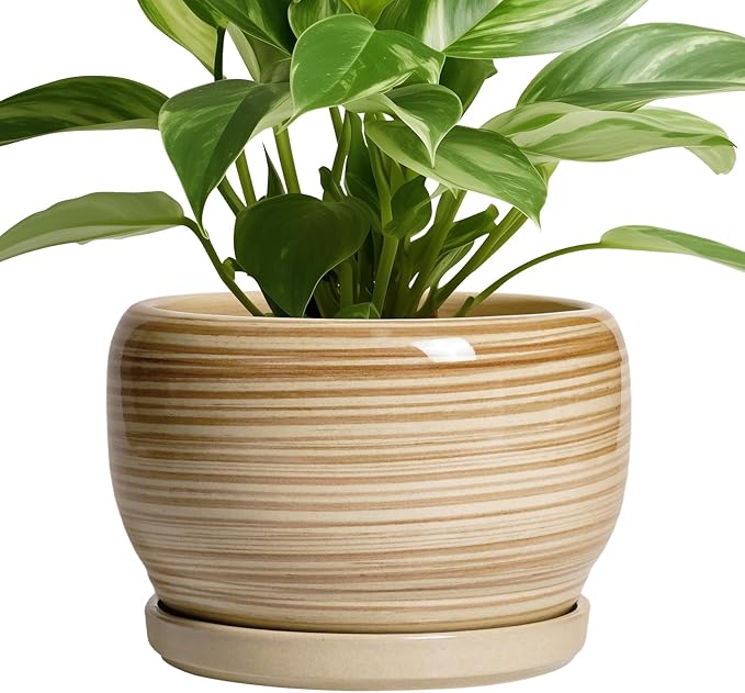 SQOWL Ceramic Planter- 8 Inch Plant Pot Indoor Outdoor, Round Planter with Drainage Hole and Plant Saucer, Decorative Modern Ceramic Flower Pot, Living Room Decor, Garden Gifts, Yellow