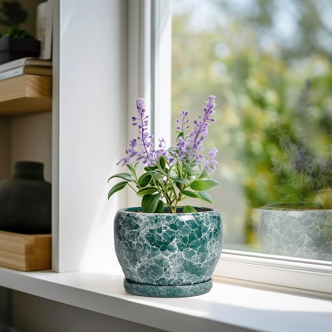 SQOWL Ceramic Pot for Plants - 6 Inch Ceramic Planter with Drainage Hole and Saucer, Round Flower Pot for Indoor Outdoor, Decorative Small Planter, Room Home Decor, Plant Lover Gifts, Green