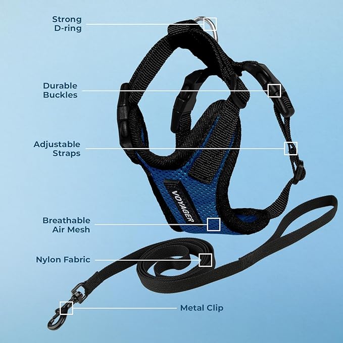 Voyager Step-in Lock Adjustable Cat Harness w. Cat Leash Combo Set with Neoprene Handle 5ft - Supports Small, Medium and Large Breed Cats by Best Pet Supplies - Royal Blue/Black Trim, XXXS
