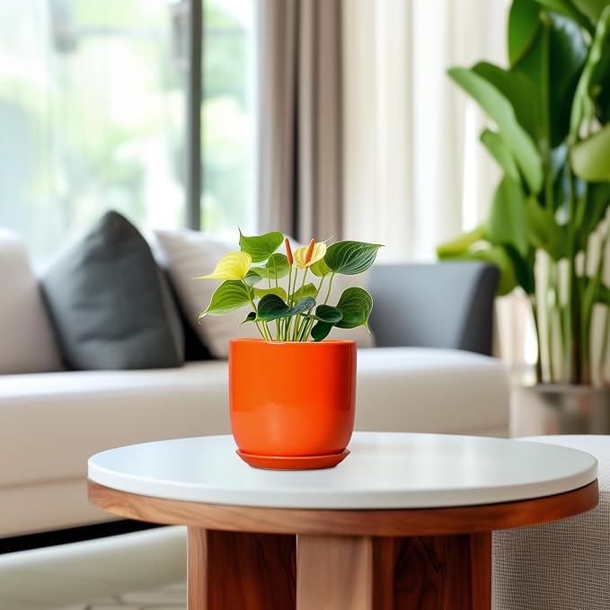 5 Inch Plant Pot - Ceramic Planter for Succulent Cactus Herbs Indoor Plants, Modern Round Flower Pot with Drainage Hole and Saucer, Gifts for Plant Lovers, Patio Office Home Decor, Orange