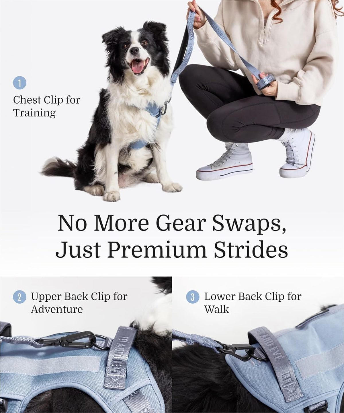 2025 New Edition, Fei & Eve MagEase Dog Harness - 3-Second Magnetic Buckles | 3-Point No-Pull Control | Heavy-Duty 900D Nylon | Dual Safety Handles | Breathable Mesh | Adjustable Fit |Small, Blue