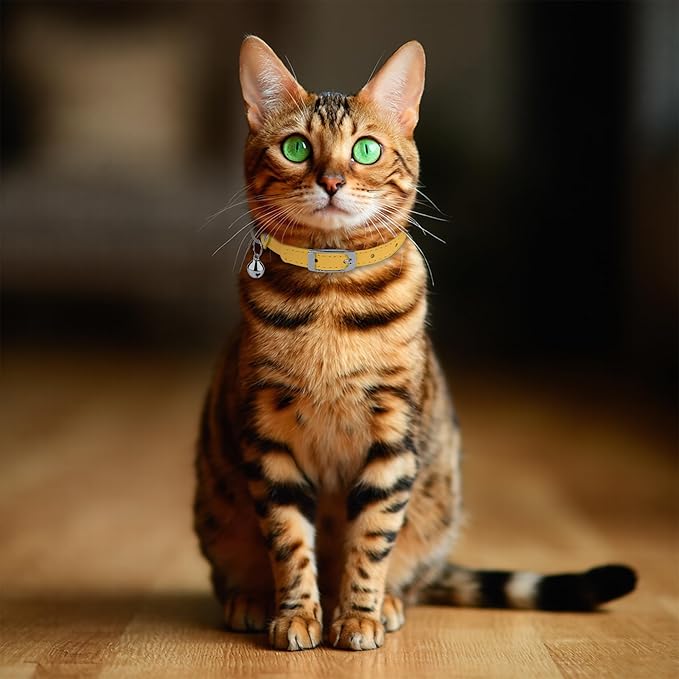 OOPSDOGGY Rolled Leather Cat Collar with Bell, Reflective Kitten Collars with Buckle Include Safety Elastic Strap - Adjustable Small Pet Collars for Boy Girl Cats (Yellow)