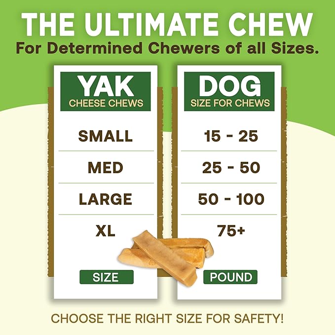 EcoKind Pet Treats Gold Himalayan Yak Cheese Dog Chew, Yak Dog Treats for Active Chewers, 100% Natural & Healthy Chew Sticks for Dogs, Assorted Set of Big & Small Yak (8 Sticks)