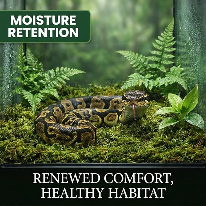 Sukh Sphagnum Moss for Reptiles -Terrarium Moss for Reptiles Peat Moss for Reptiles Habitat Bedding Moss for Snakes Turtle Frog Gecko and Other Reptiles Substrate (15.8, Ounces)