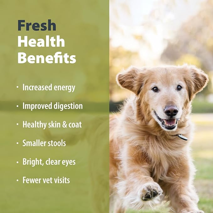 JustFoodForDogs Pantry Fresh Wet Dog Food, Complete Meal or Dog Food Topper, Chicken & White Rice Human Grade Dog Food Recipe - 12.5 oz (Pack of 12)