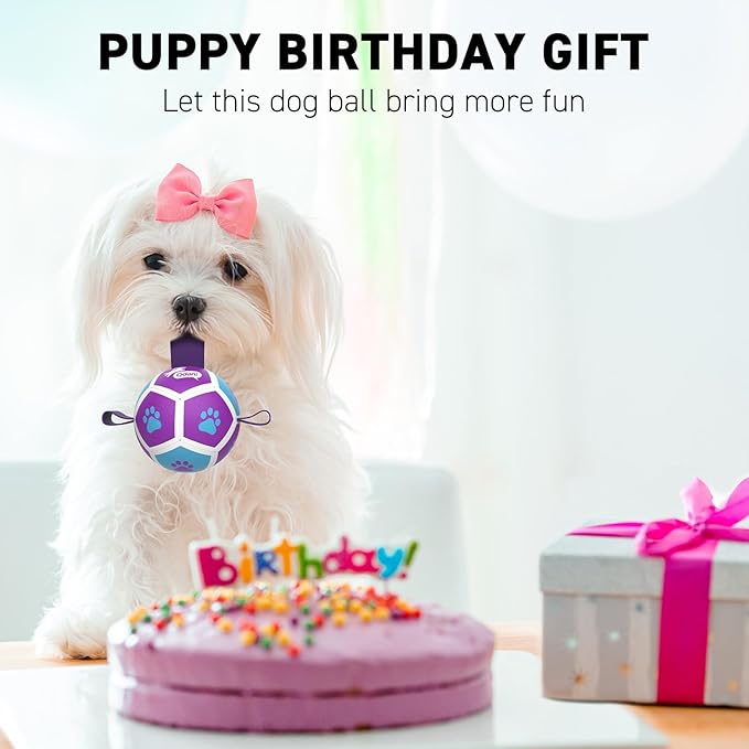 QDAN Small Dog Toys, Puppy Balls, Dog Balls with Straps for Small Breed, Soccer Ball for Dogs, Puppy Toys, Dog Birthday Gift (Purple Blue, 3.5 inch)