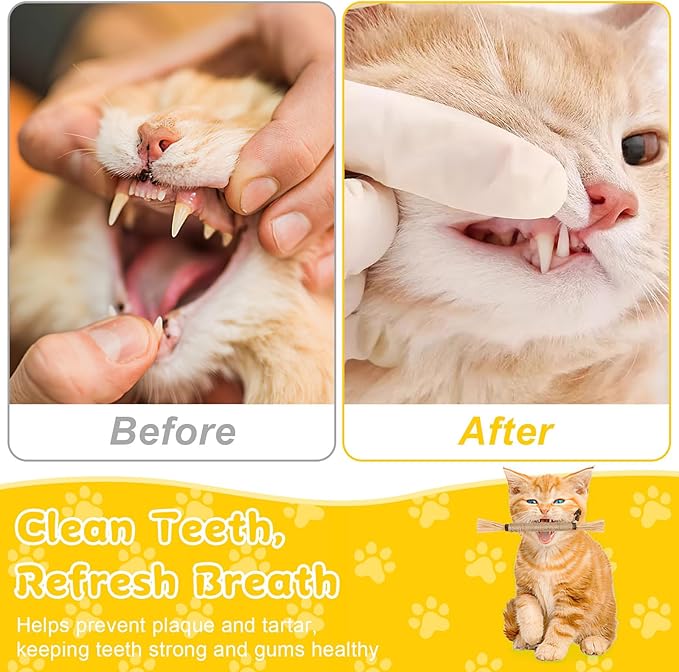 9 Pack Silvervine Sticks for Cats, Natural Cat Chew Stick Cat Toys Set, Matatabi Dental Care Cat Treat for Indoor Cats/Kittens Dental Care Teeth Cleaning/Play